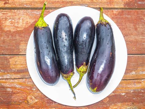 1194 Ripe Blue Eggplant Photos Free And Royalty Free Stock Photos From