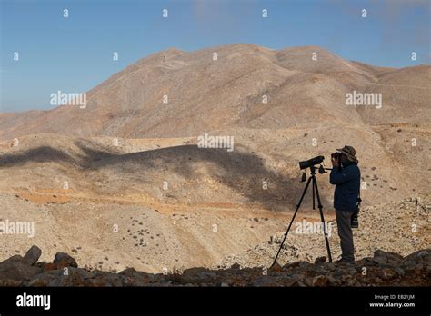 Birdwatching and ornithology . Mt Hermon. Golan Heights. Israel. Syria