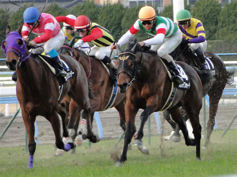 He has voiced many notable roles. 笠松競馬新聞一覧!各紙の特徴、販売場所と値段 | 競馬情報サイト