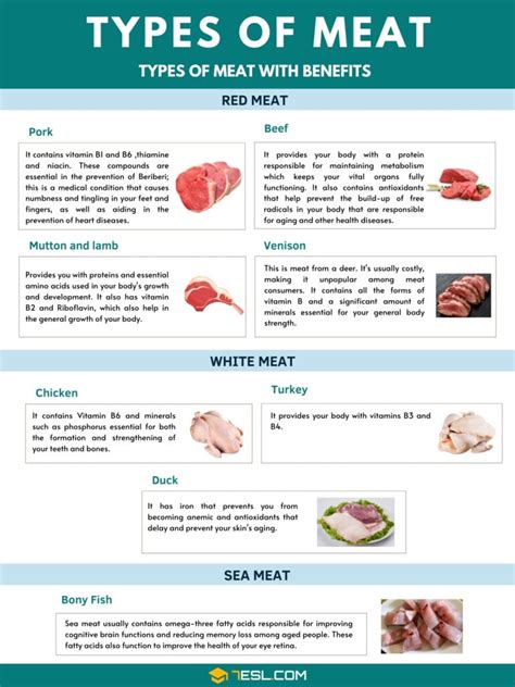 Types Of Meat List Of Meats With Amazing Benefits Esl