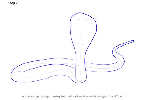 Learn How To Draw A King Cobra Reptiles Step By Step Drawing Tutorials