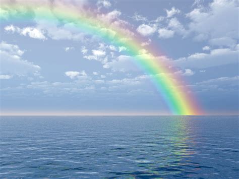 I Like The Ocean And Rainbows Yeah Rainbow Background