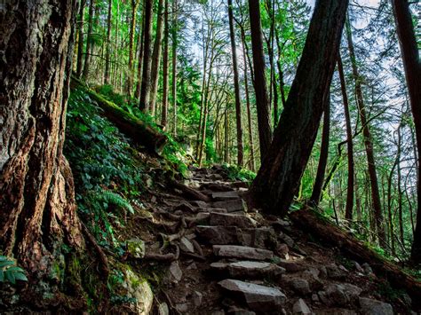 Beautiful Hiking Trails Near Me These 10 Hiking Trails Will Blow Your