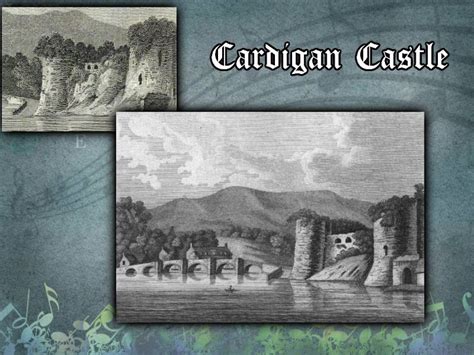 Steps Back In Time Cardigan Castle