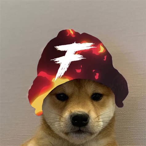 My Logo In Dogwifhat Dogwifhatgang