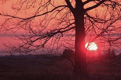 Country Sunset Photograph By Dan Young Fine Art America