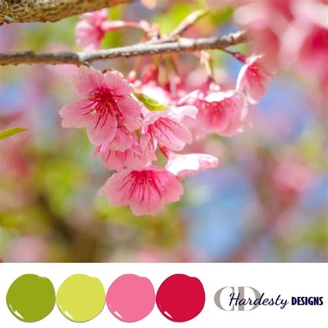 Pink and green color palette | First day of spring, Green colour palette, Colour pallete