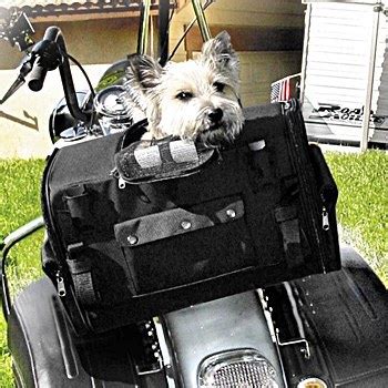 Dogtainers boasts australia's largest, locally owned and operated pet transport solution travel network, with specialised pet travel consultants in. Carrier Standard Programmable Thermostat: Motorcycle Pet ...