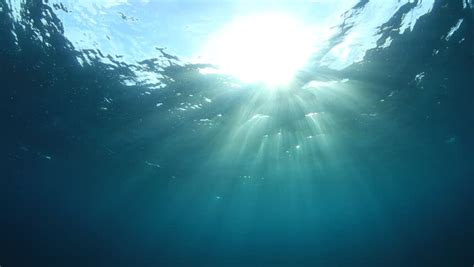 Sun Shining Through Water Sea Surface Underwater Sunlight Nature