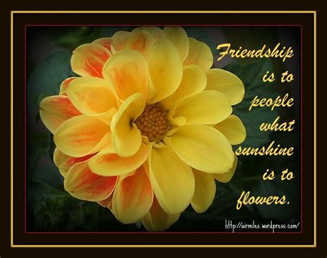 Friendship Is To People What Sunshine Is To Flowers Friendship Quote