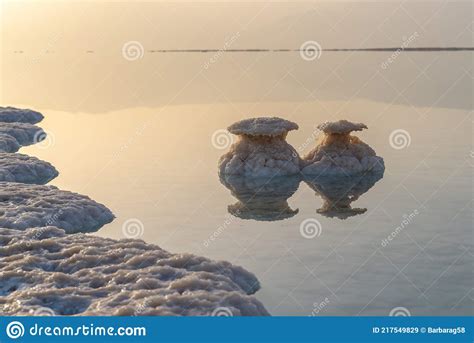 Salt Formations In The Dead Sea In Israel Stock Image Image Of Beauty