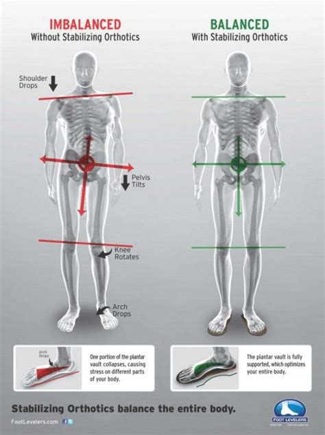 Hip flexion takes place when you decrease the angle between your thigh and stomach. The feet are the foundation of the body. They support you ...