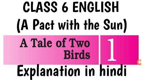A Tale Of Two Birds Class 6 English A Pact With The Sun Chapter 1