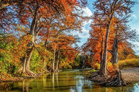 Fall Glory At James Kiehl River Bend Park Photograph By