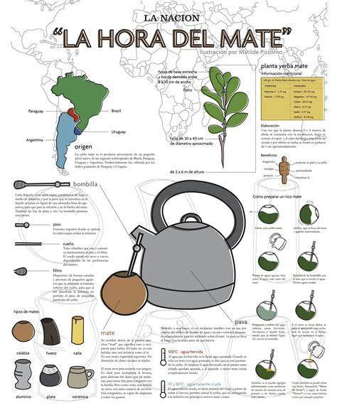 Infografia Mate Imprimir Mate Bebida Tradiciones Argentinas Yerba Mate