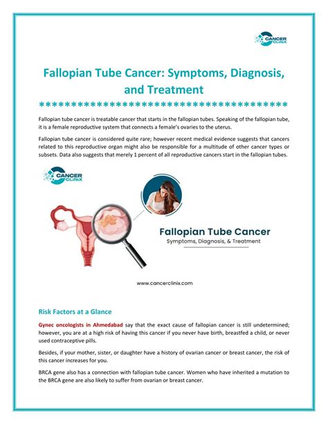 Ppt Fallopian Tube Cancer Symptoms Diagnosis And Treatment