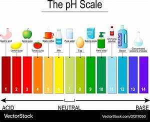 Ph Scale Universal Indicator Ph Test Strips Vector Image