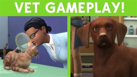 Sims 4 Cats And Dogs Vet Trailer Gameplay Youtube