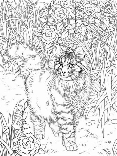 Hard Cat Coloring Pages At Getdrawings Free Download
