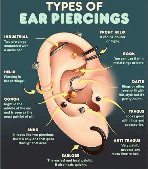 Ear Piercing Diagram Labeled