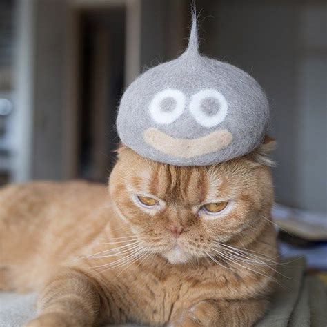 Japanese Artist Is Back With A New Collection Of Cat Hats Made From
