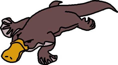 Free Platypus Clipart Download Free Platypus Clipart Png Images Free