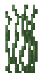 And sometimes yields seeds when broken, like normal grass. Double Tall Grass | Minecraft Pocket Edition Wiki | Fandom ...