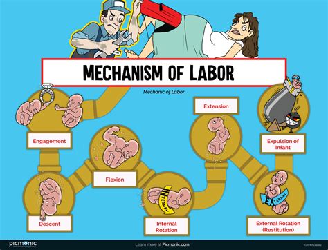 Infographic How To Study Mechanism Of Labor Picmonic
