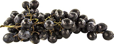 Free Image on Pixabay - Fruit, Grapes, Png, Cutout | Grapes, Fruit, Black grapes