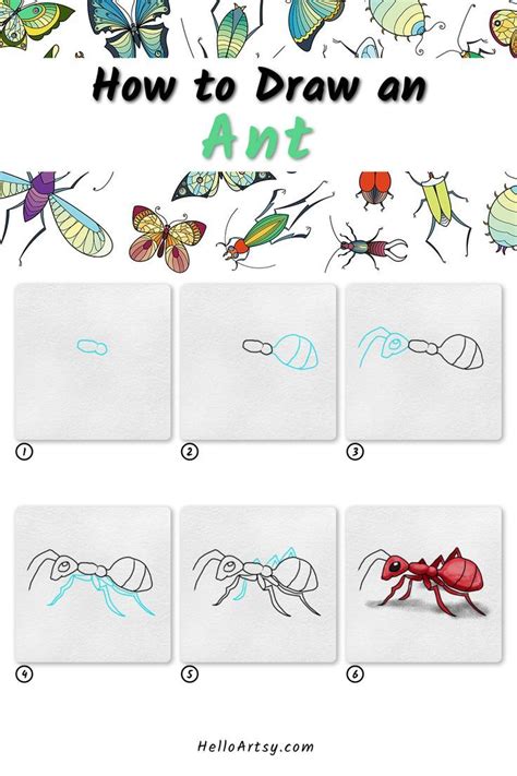 How To Draw An Ant In 6 Easy Steps Drawings Bugs Drawing Easy Drawings