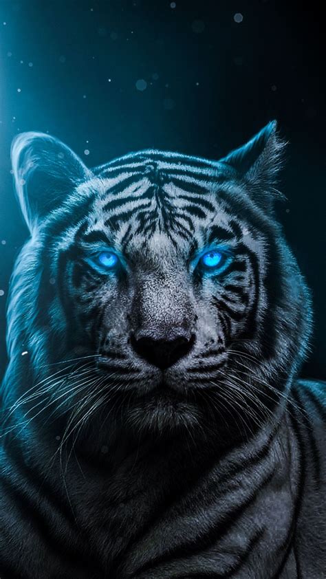 White Tiger With Blue Eyes Wallpaper