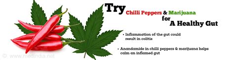 Mobile phone insurance from £3.99* per month. Can You Chill Out an Inflamed Gut With Chilli Peppers and Marijuana?
