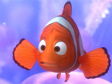 Which Character From Finding Nemo Are You Finding Nemo Nemo Movie