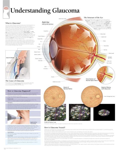 Glaucoma Basics Classification Of Glacuoma Epomedicine Images And