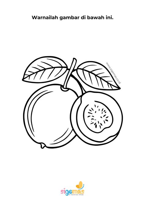 Mewarnai Gambar Buah Jambu Biji - Sigemas