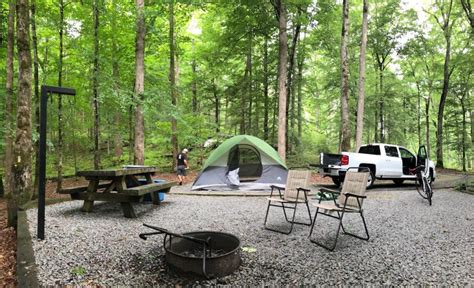 Davidson River Campground Offers River Camping At Its Finest