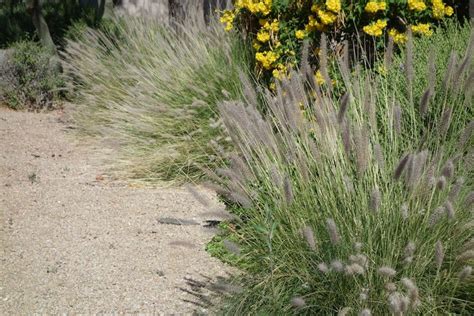 We did not find results for: Xeric Drought-Resistant Plants | Nick's Garden Center ...