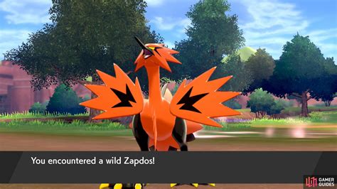 This becomes more complicated because you will have to pursue him at full speed (with your bike) in order to start the fight! Galarian Zapdos at the Wild Area - Walkthrough - The Crown ...