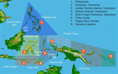 Heart Of The Coral Triangle Snorkeling Tour Coral Triangle Adventures