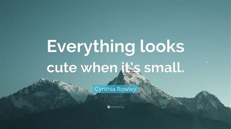 Cynthia Rowley Quote Everything Looks Cute When Its Small