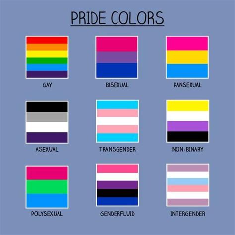 Lgbtqia Flags 30 Different Pride Flags And Their Meaning Lgbtq Flags Names The Top 40