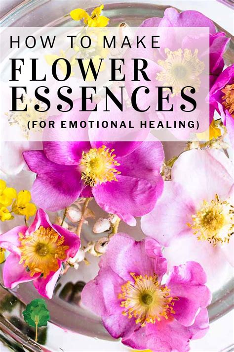 How To Make Flower Essences To Lift The Spirit Nourished Kitchen Recipe Flower Essences