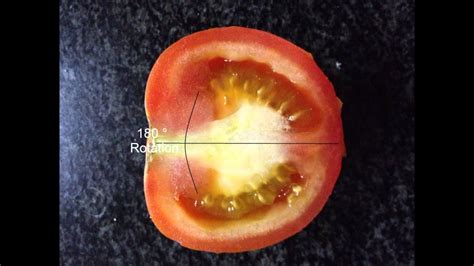 Mathematics Project - Line symmetry - YouTube