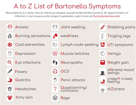 A To Z List Of Bartonella Symptoms Bartonella Symptoms Lyme Disease