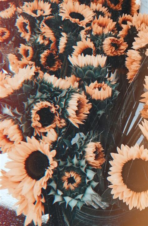 Follow the vibe and change your wallpaper every day! Wallpaper Backgrounds Aesthetic - #flowers #vintage ...