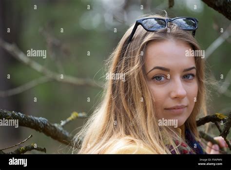 Tree Field Meadow And Forest Blue Sky Stock Photo Alamy