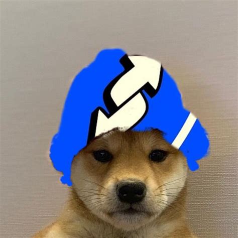 Meme Pfp Dog Such A Pretty Girl 🥺 Cute Teacup Puppies Cute Dogs