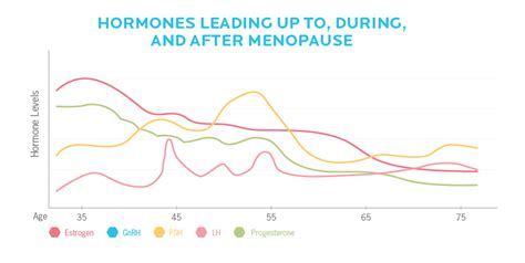 Whats Happening To My Body 6 Menopause Strategies