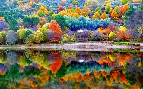 Download Colourful Forest Beautiful Autumn Desktop Wallpaper