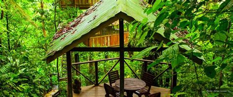 Finca Bellavista Treehouse Community In Costa Rica Cool Tree Houses